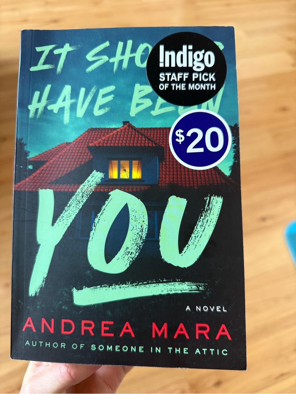 It should have been you book